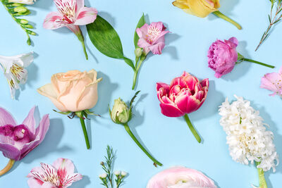 HD порно дивай