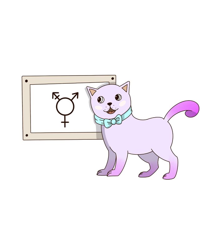 Yoqimli gozallik bilan porno